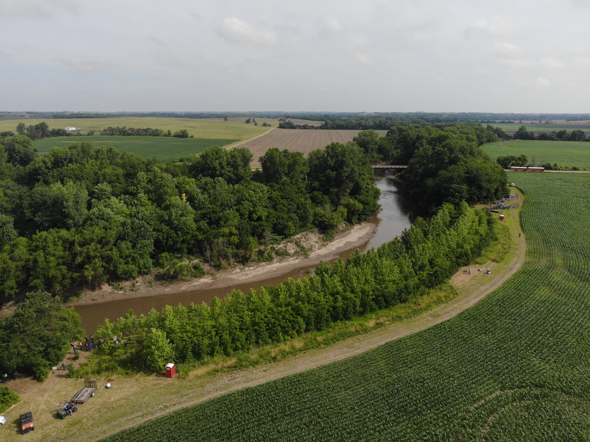 Trees along waterway